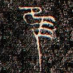 隹