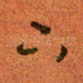 下