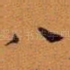 八
