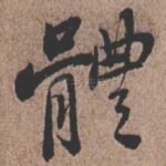 体