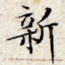 新