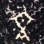 文