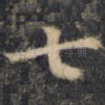 七