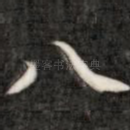 八