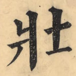 壮