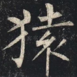猿