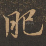 肥