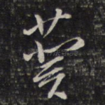 葵