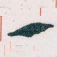 一