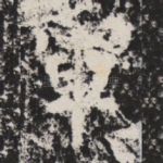 軍