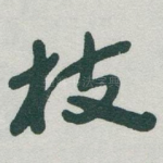 枝