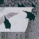 八