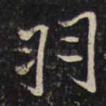 羽