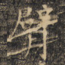 臂