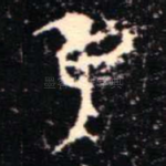 隹