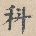 科