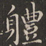 体