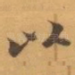 以
