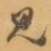 见