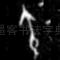寅