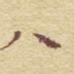 八