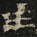 主