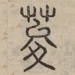 荾