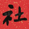 社