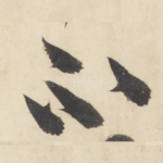 不