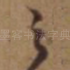 之