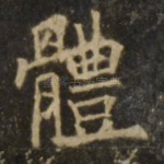体