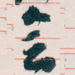 会