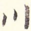 川