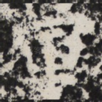 軍