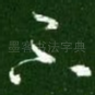 不