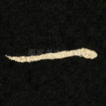 一