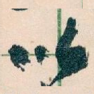 以