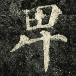 卑