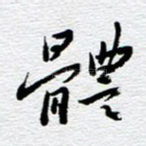 体