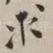 求