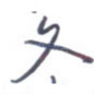 文