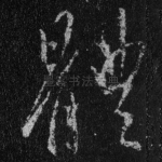 体