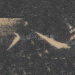 八
