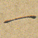 一