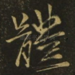 体