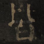 皆