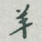 羊