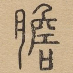 胆