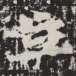 立