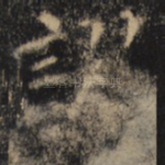 谬